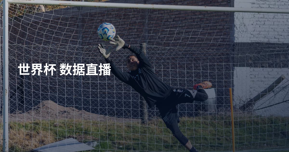 世界杯 数据直播