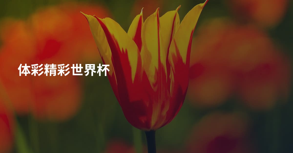 体彩精彩世界杯
