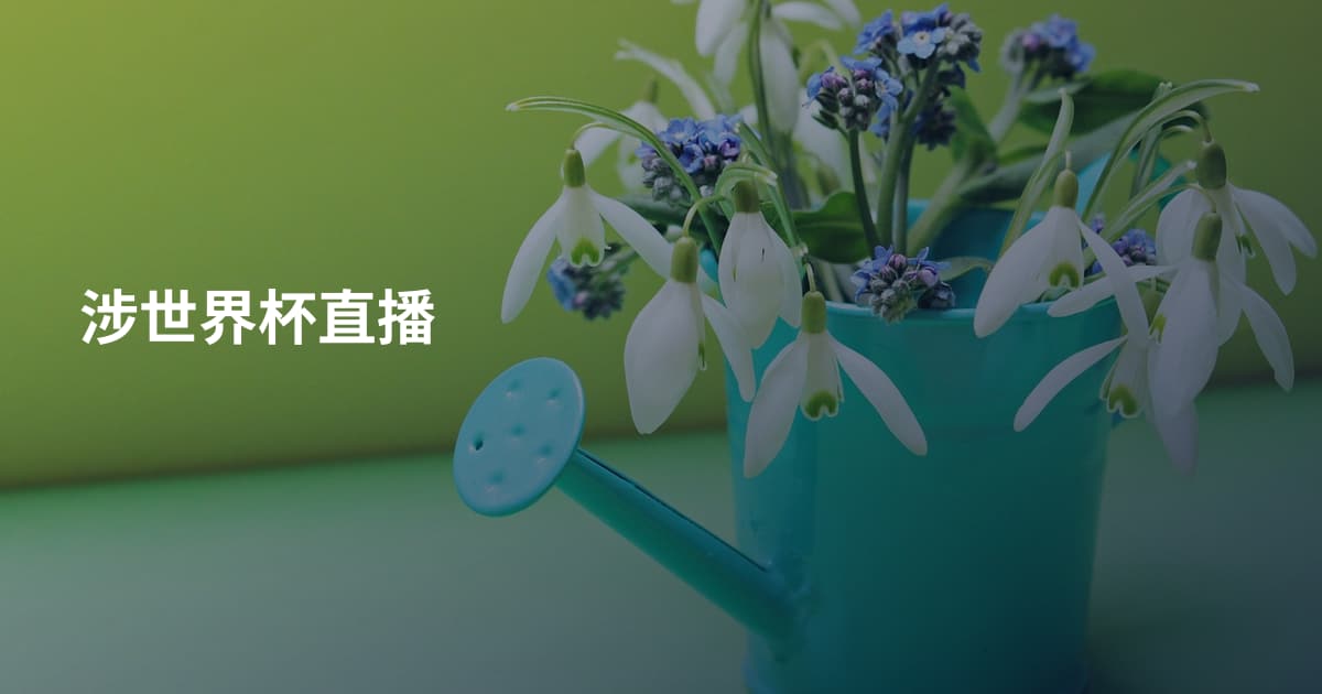 涉世界杯直播