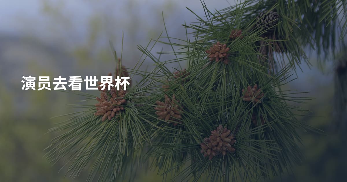 演员去看世界杯