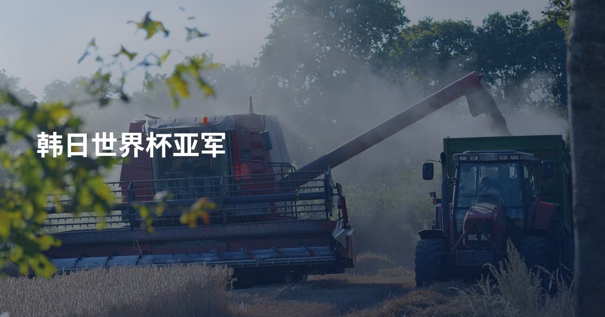 韩日世界杯亚军
