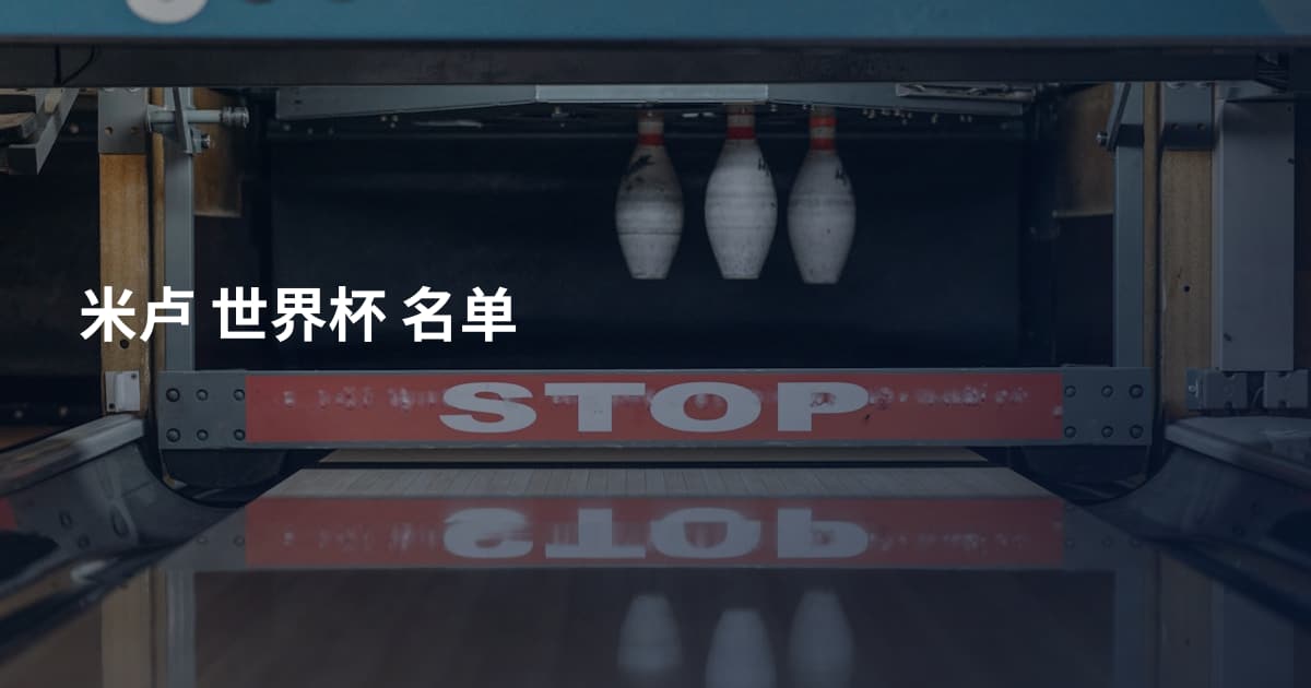 米卢 世界杯 名单