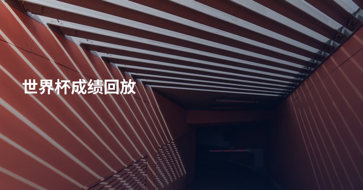 世界杯成绩回放