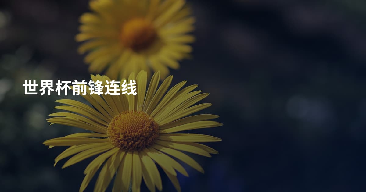 世界杯前锋连线