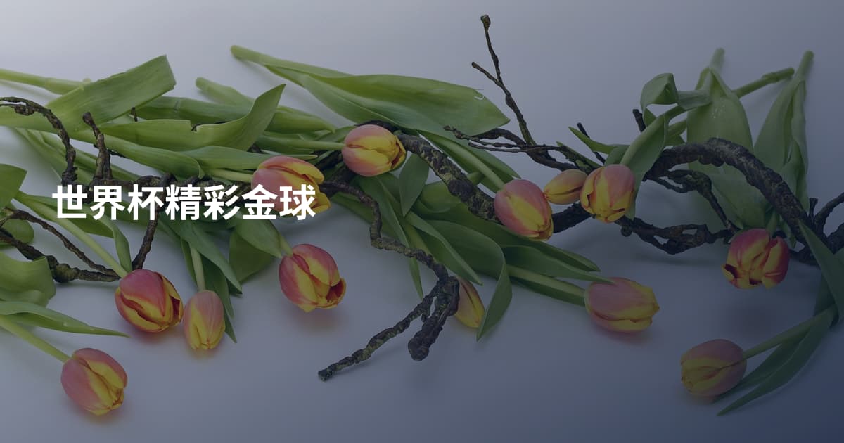 世界杯精彩金球