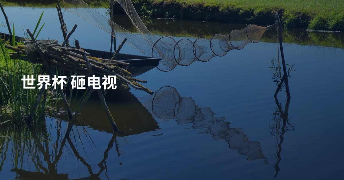 世界杯 砸电视