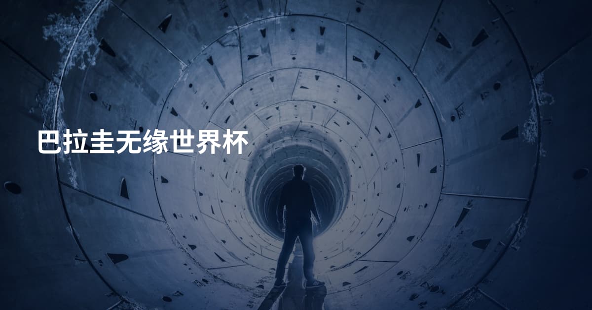 巴拉圭无缘世界杯