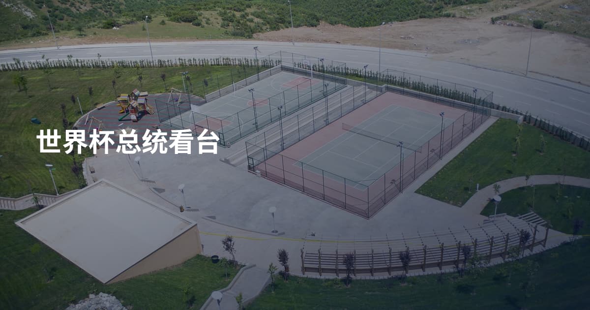 世界杯总统看台
