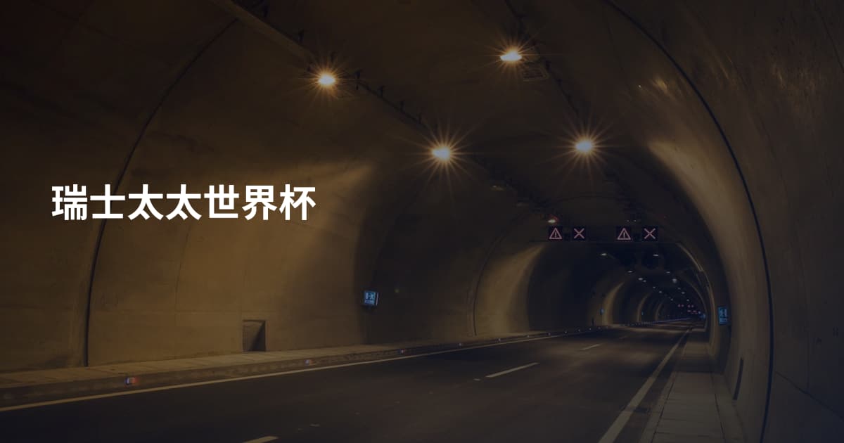 瑞士太太世界杯