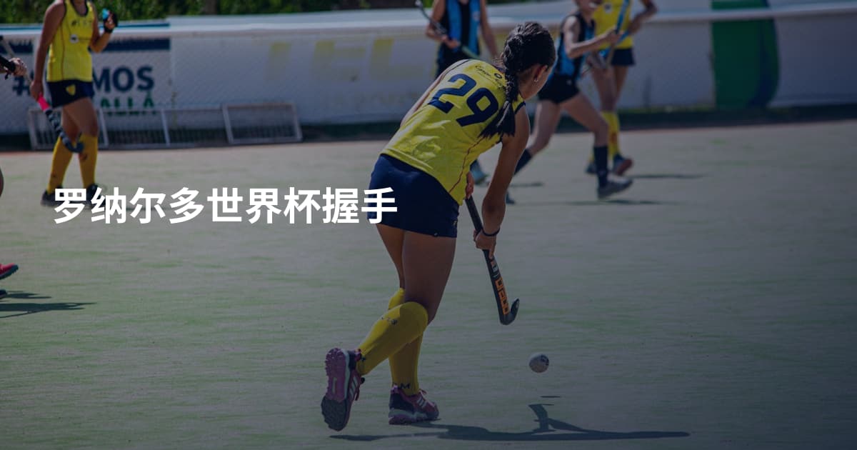 罗纳尔多世界杯握手