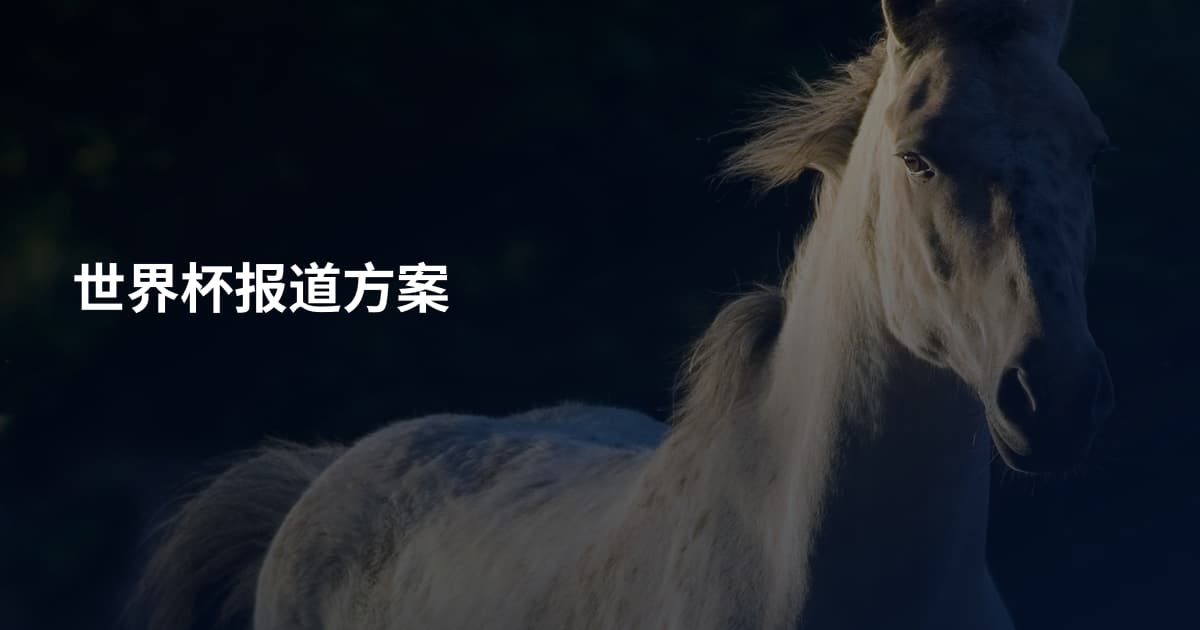 世界杯报道方案