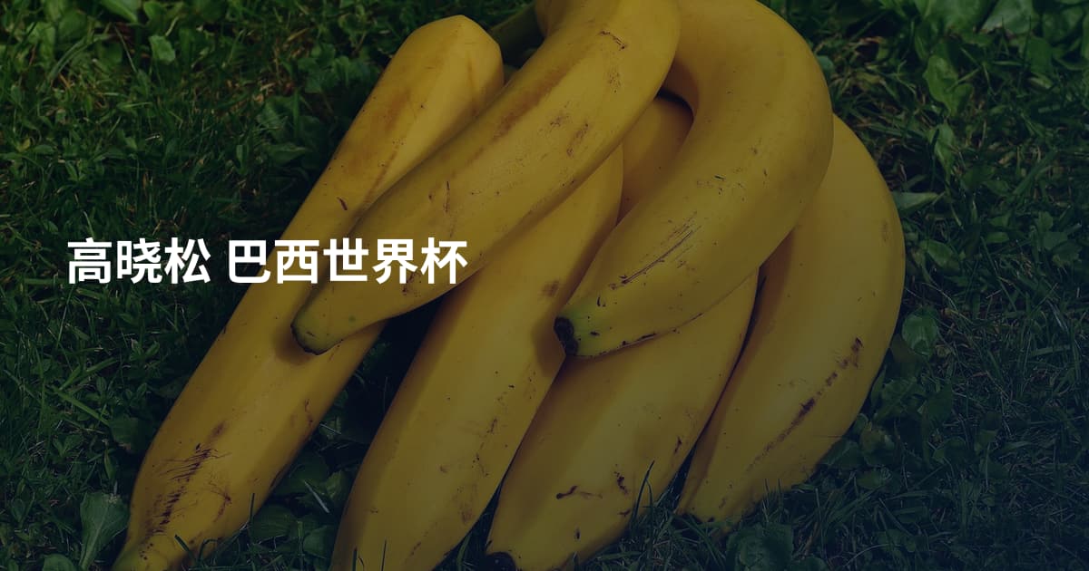 高晓松 巴西世界杯