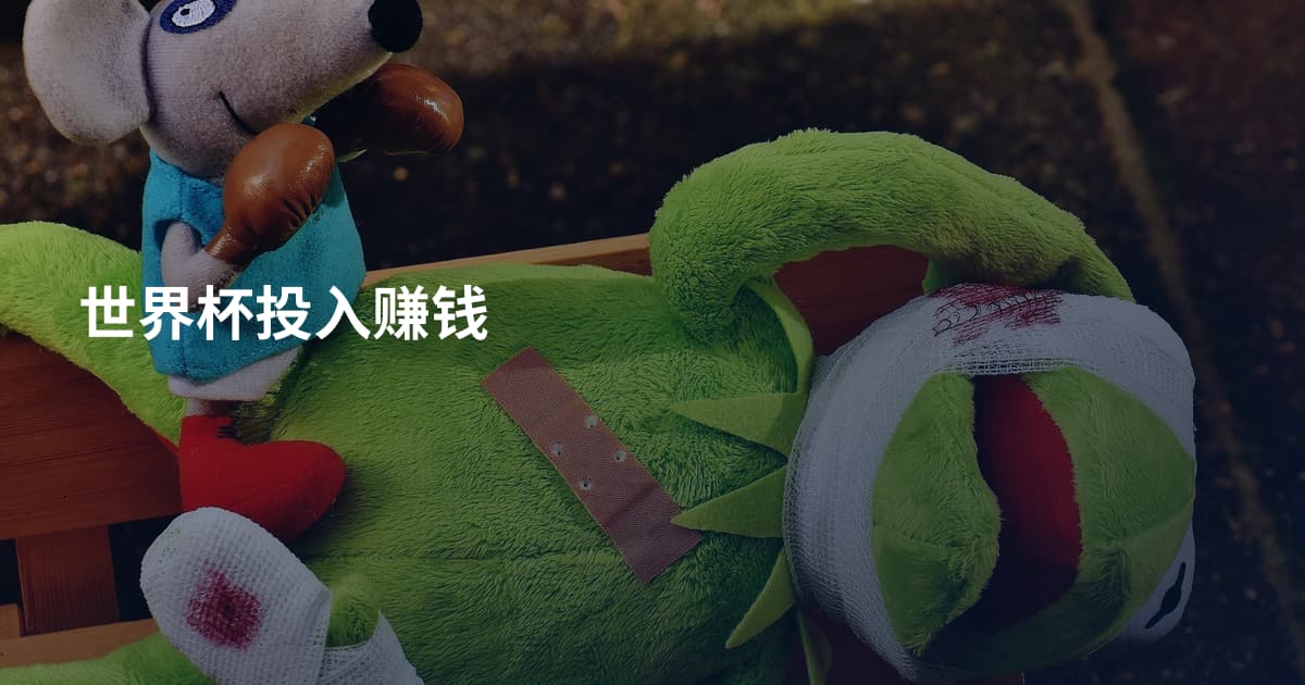 世界杯投入赚钱