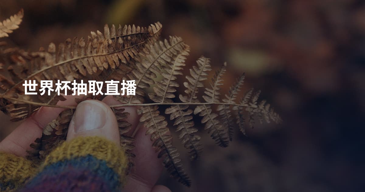 世界杯抽取直播