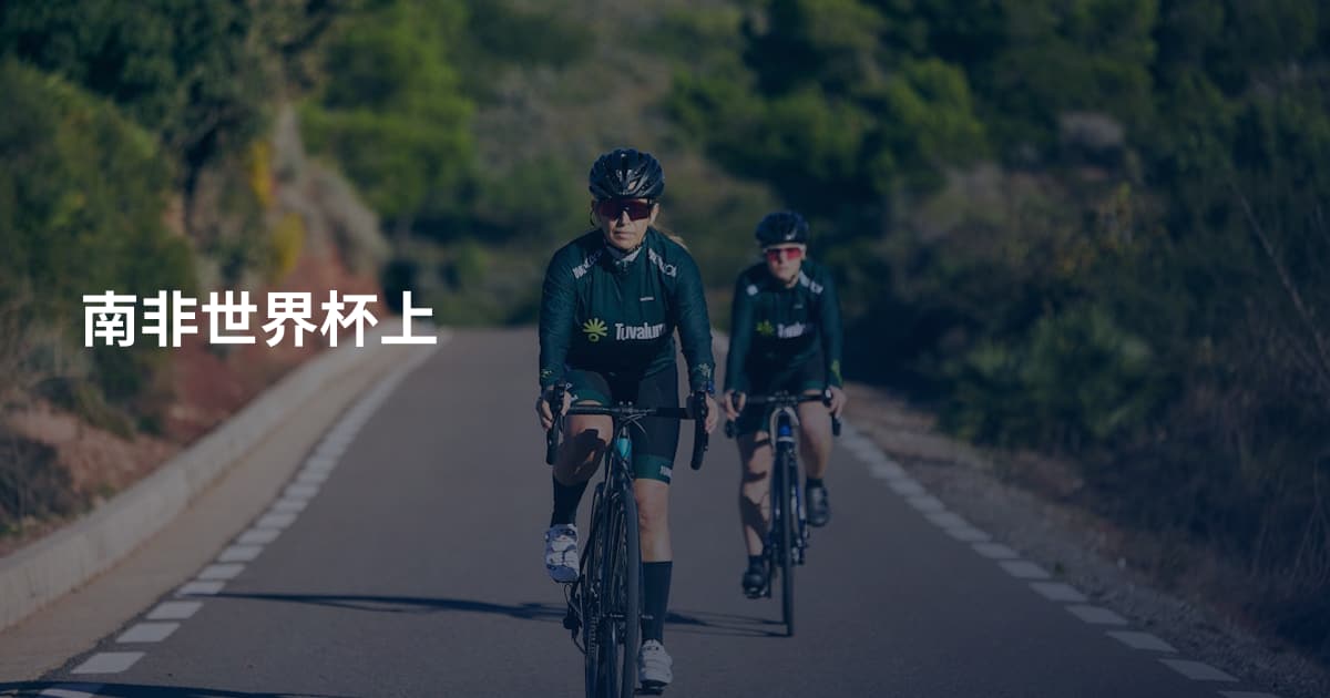 南非世界杯上