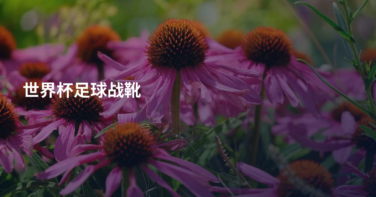 世界杯足球战靴