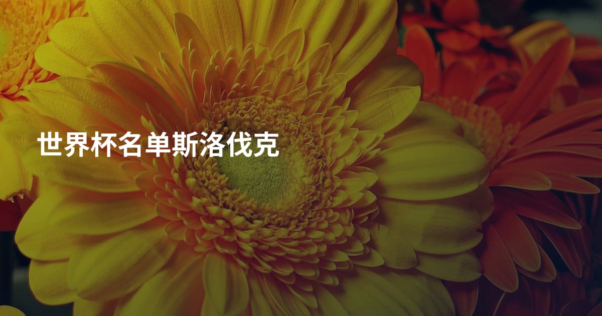 世界杯名单斯洛伐克
