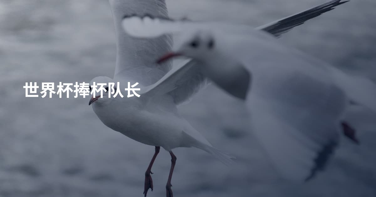 世界杯捧杯队长