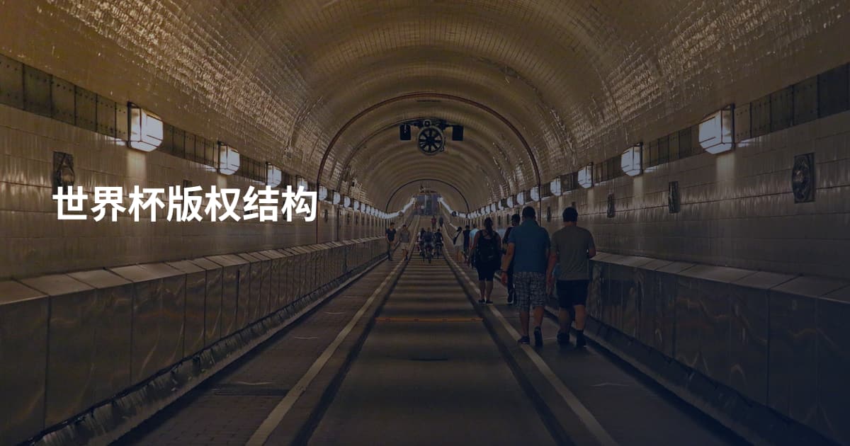 世界杯版权结构