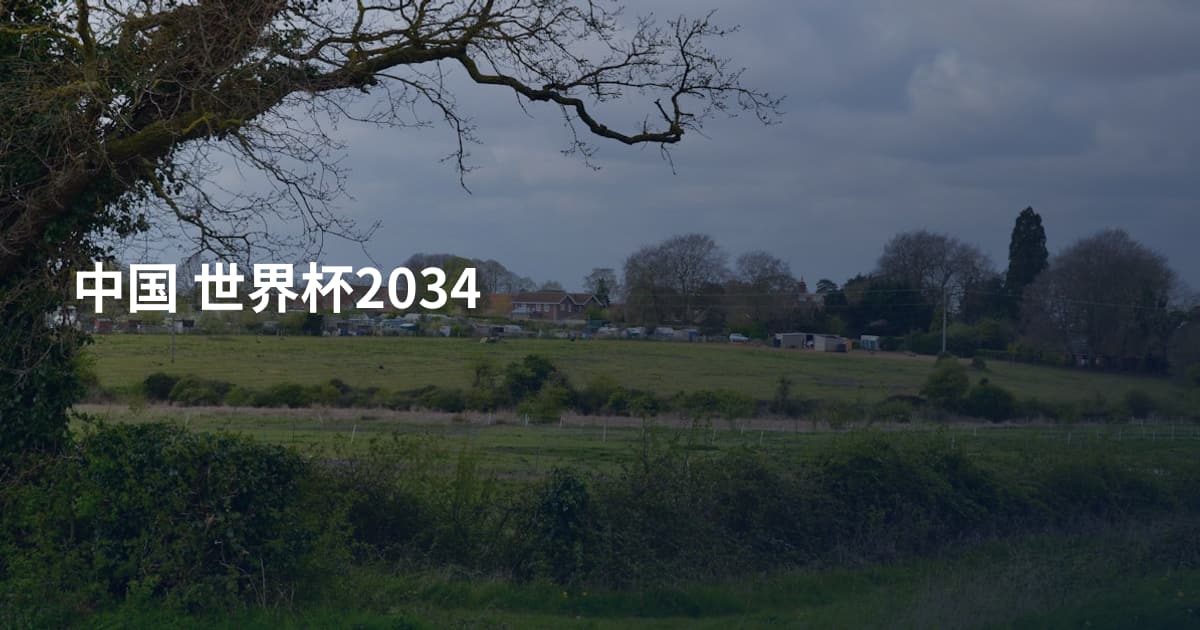 中国 世界杯2034