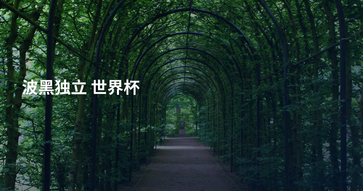 波黑独立 世界杯