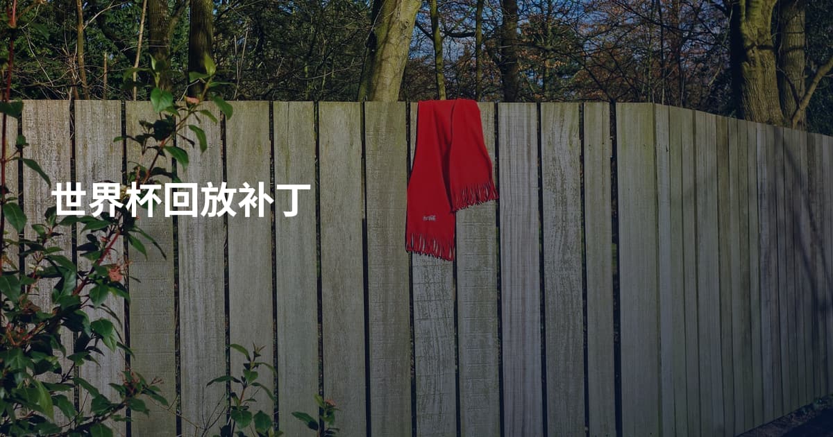世界杯回放补丁