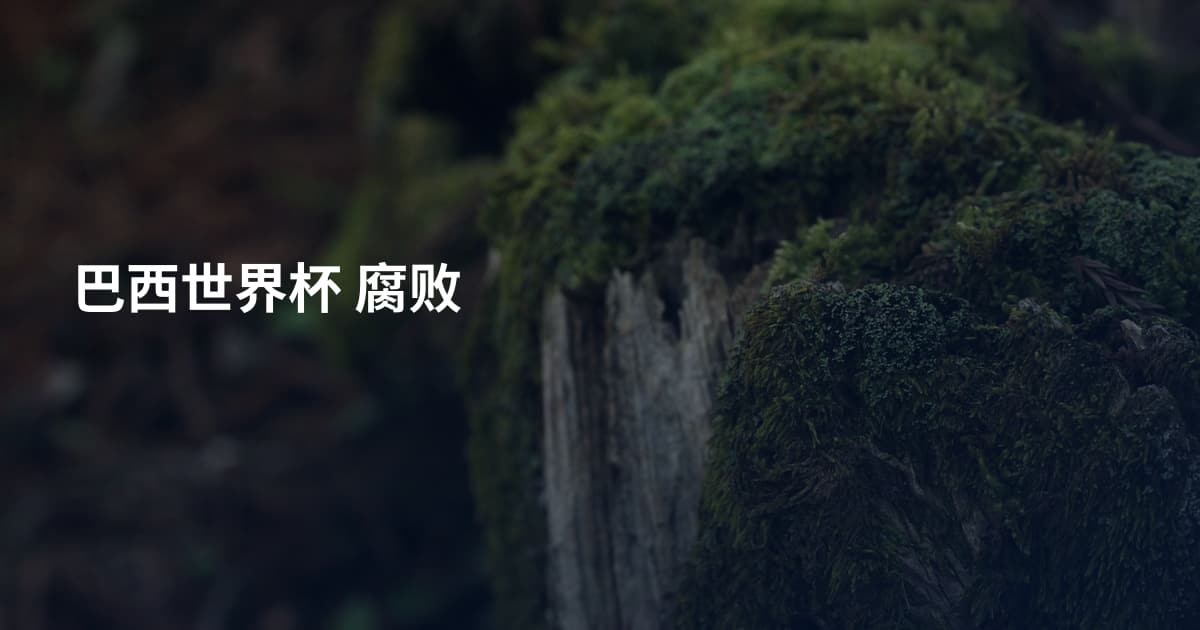 巴西世界杯 腐败