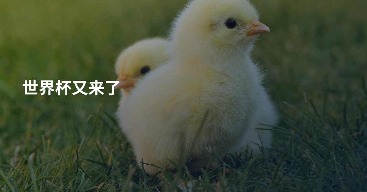世界杯又来了
