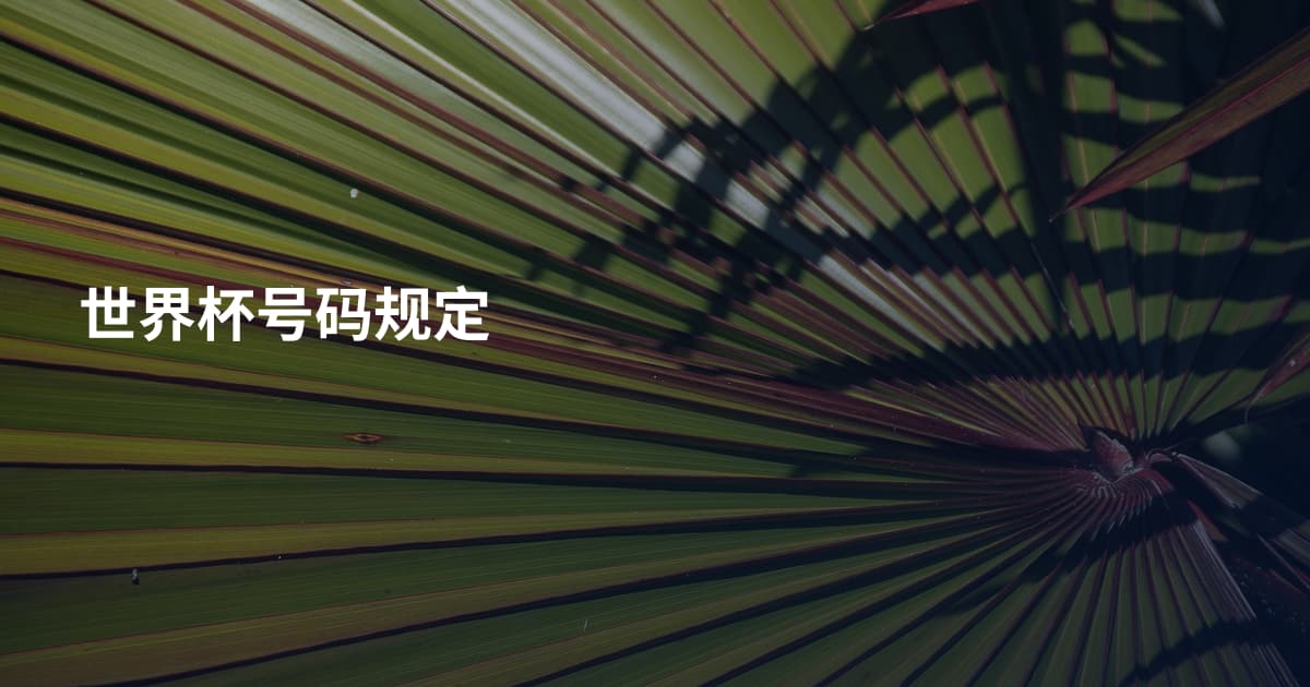 世界杯号码规定