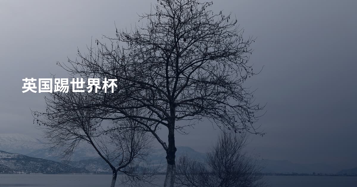 英国踢世界杯