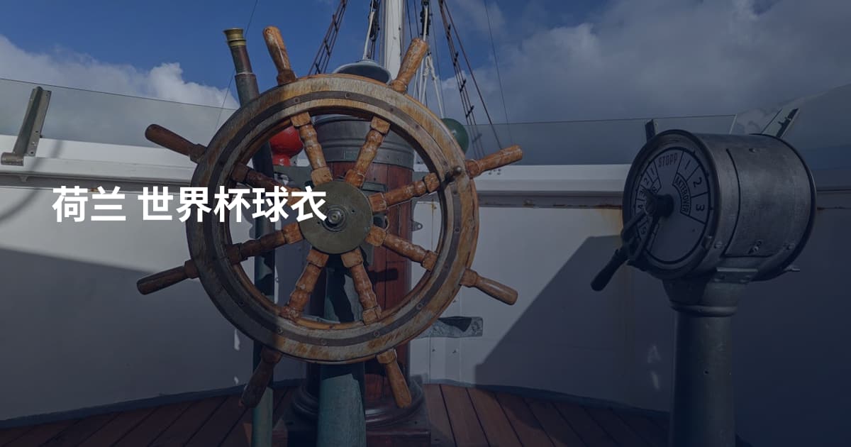 荷兰 世界杯球衣