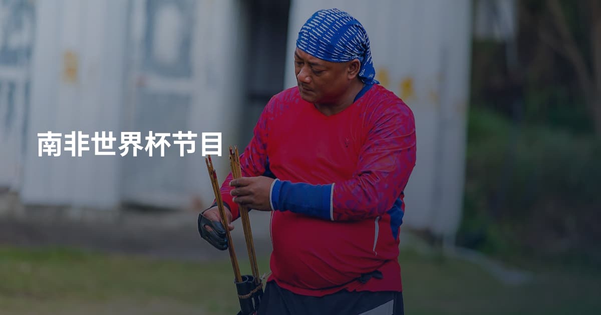 南非世界杯节目
