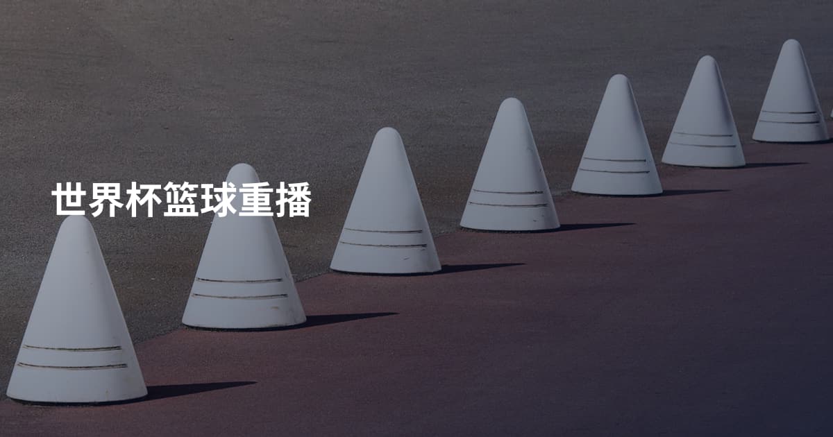 世界杯篮球重播