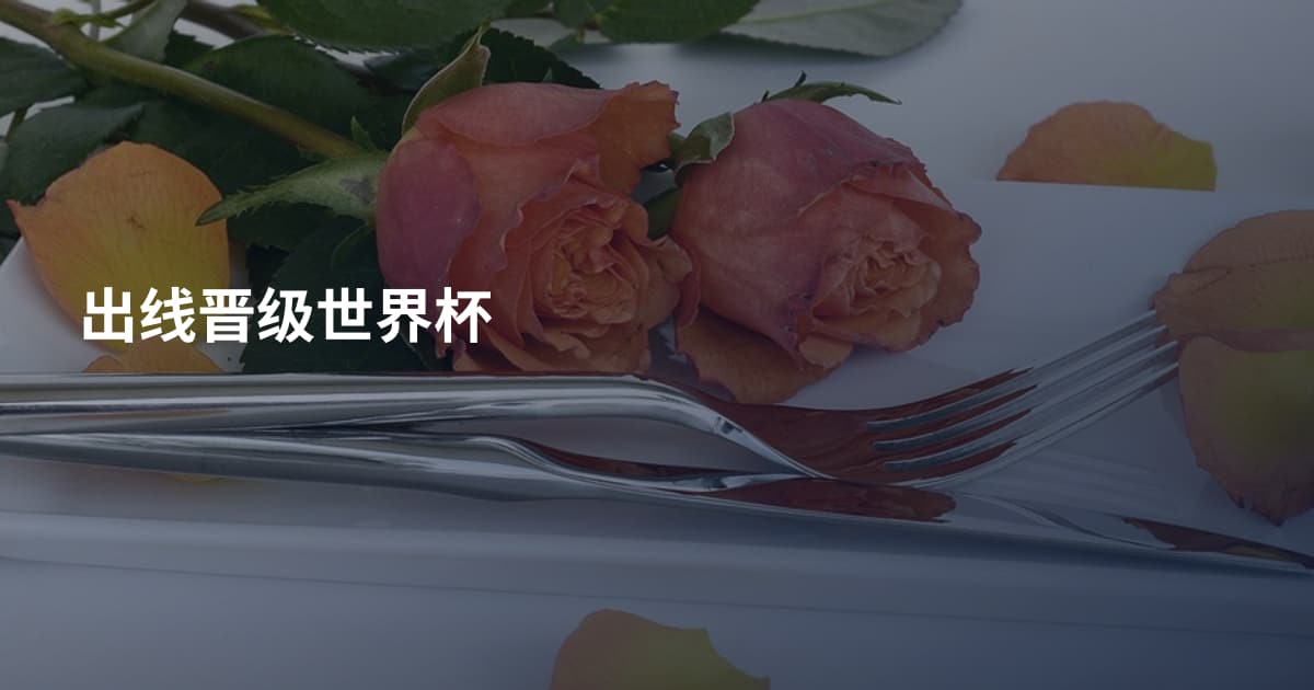 出线晋级世界杯