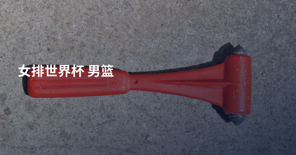 女排世界杯 男篮