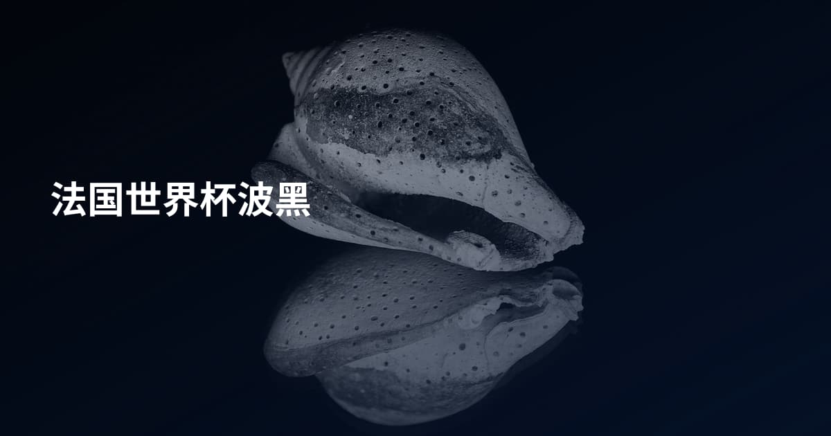 法国世界杯波黑