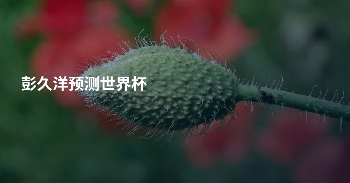 彭久洋预测世界杯