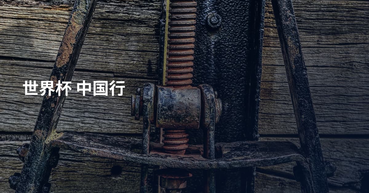 世界杯 中国行
