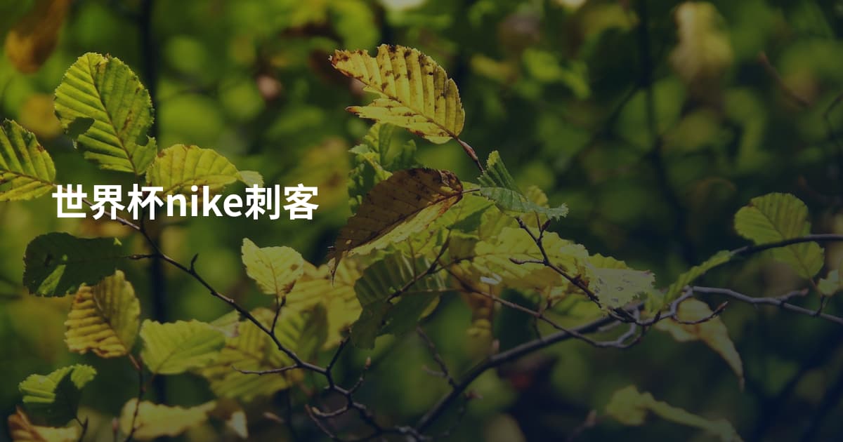 世界杯nike刺客
