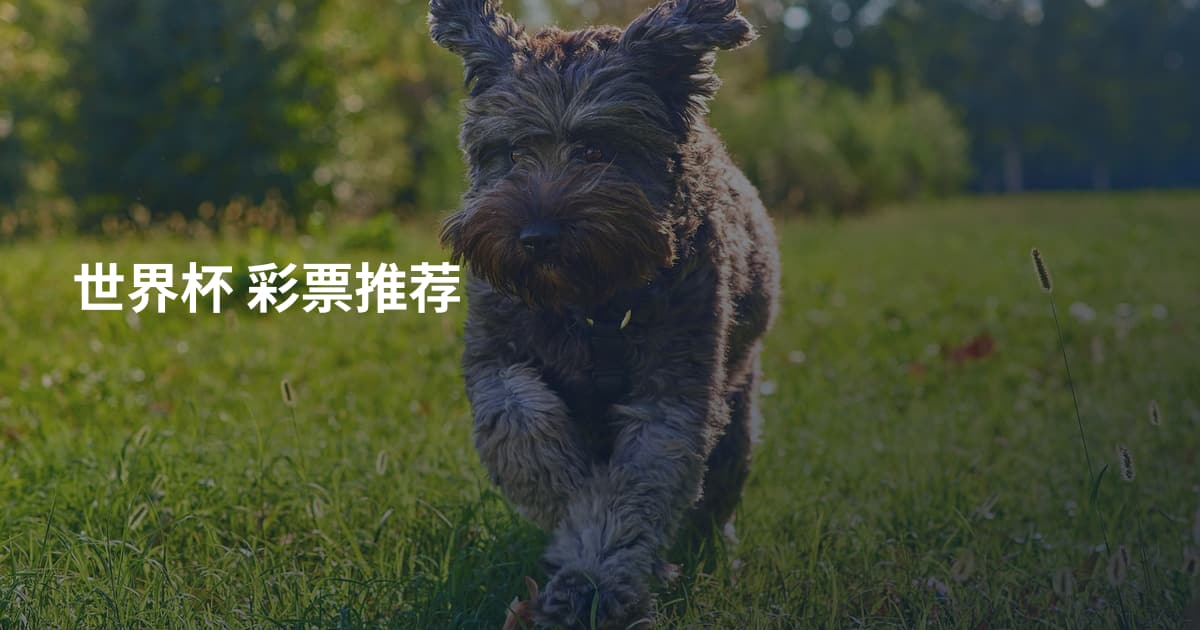 世界杯 彩票推荐