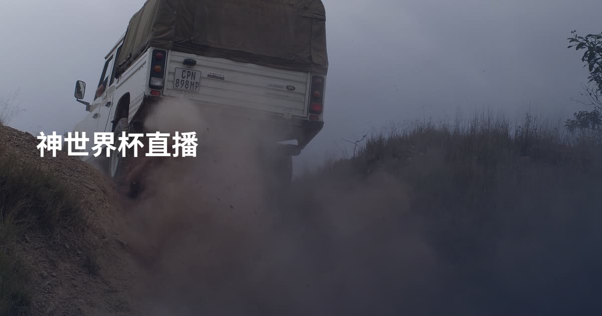 神世界杯直播