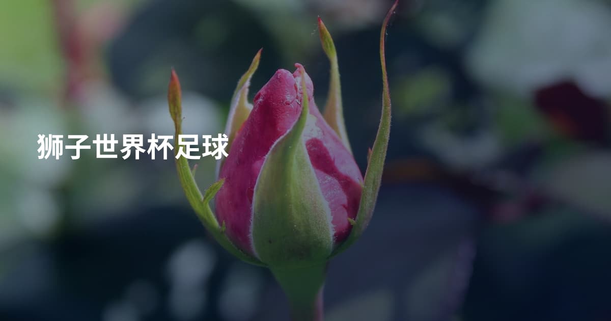 狮子世界杯足球