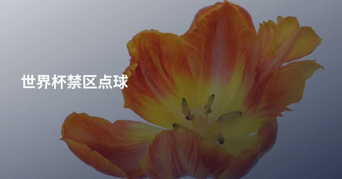 世界杯禁区点球