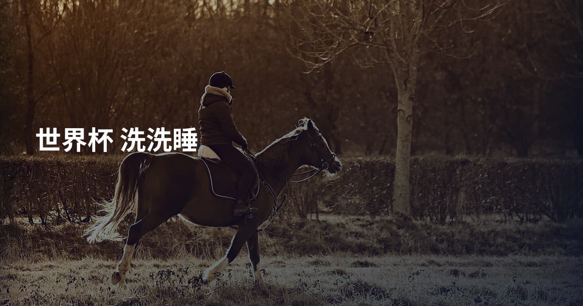 世界杯 洗洗睡