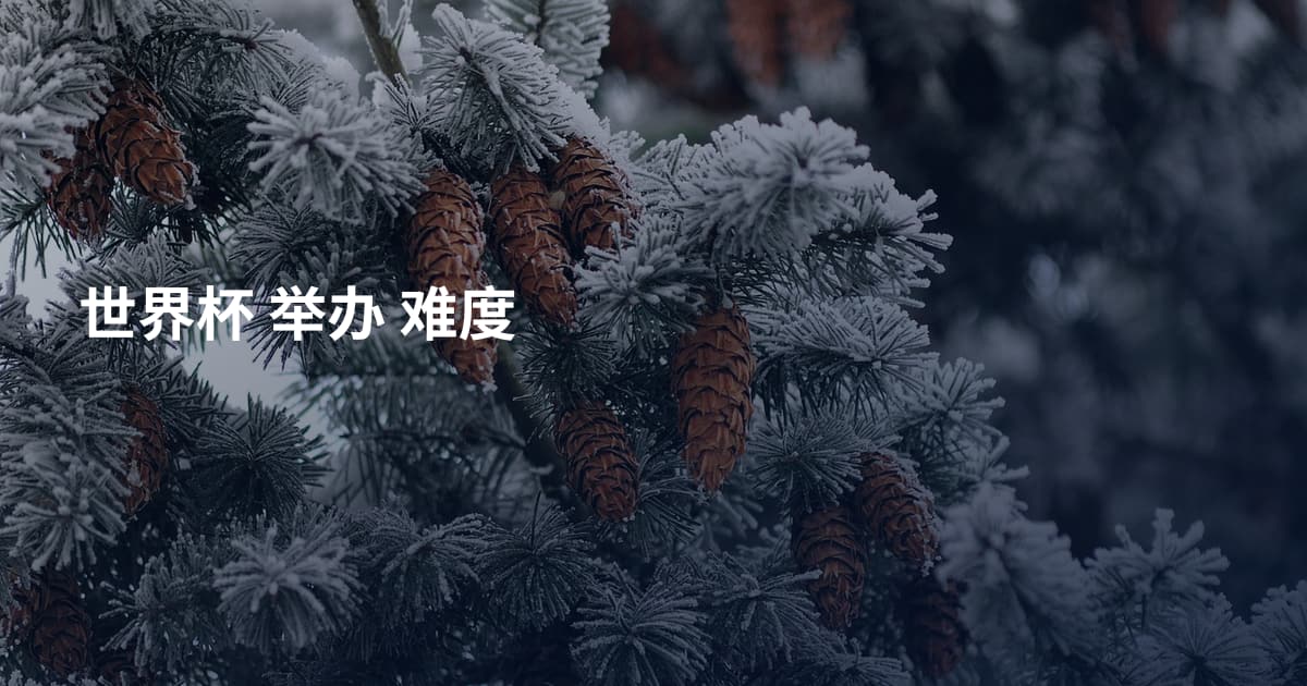 世界杯 举办 难度