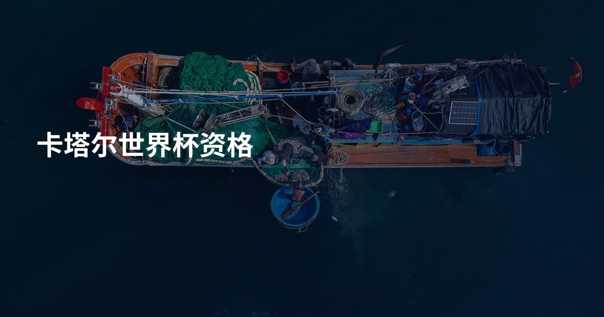 卡塔尔世界杯资格