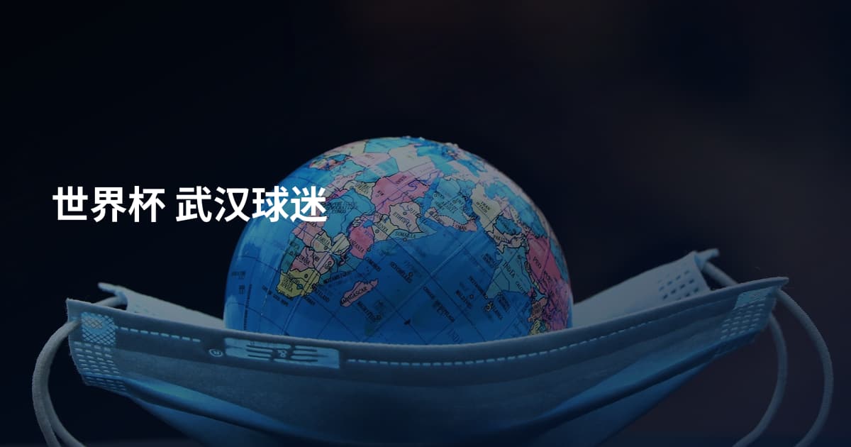 世界杯 武汉球迷