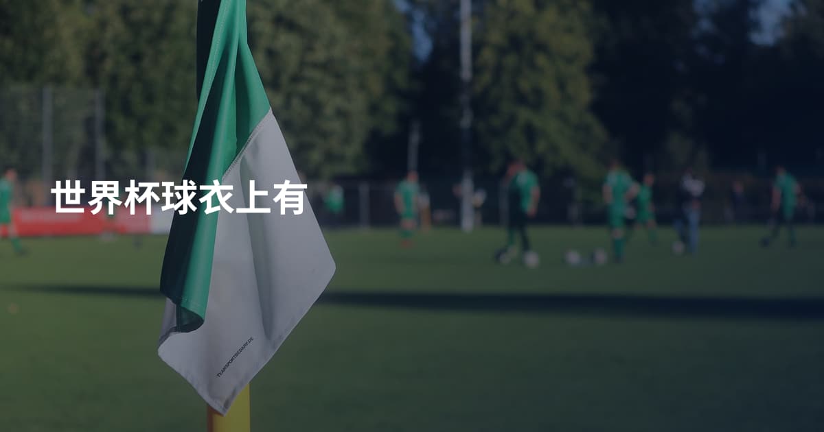 世界杯球衣上有