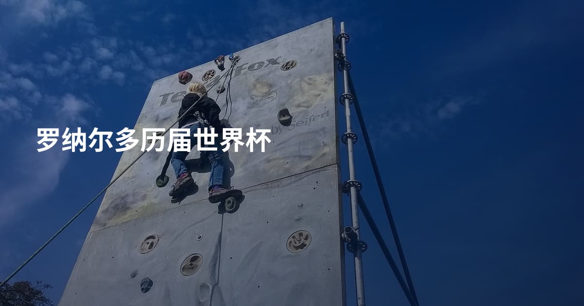 罗纳尔多历届世界杯