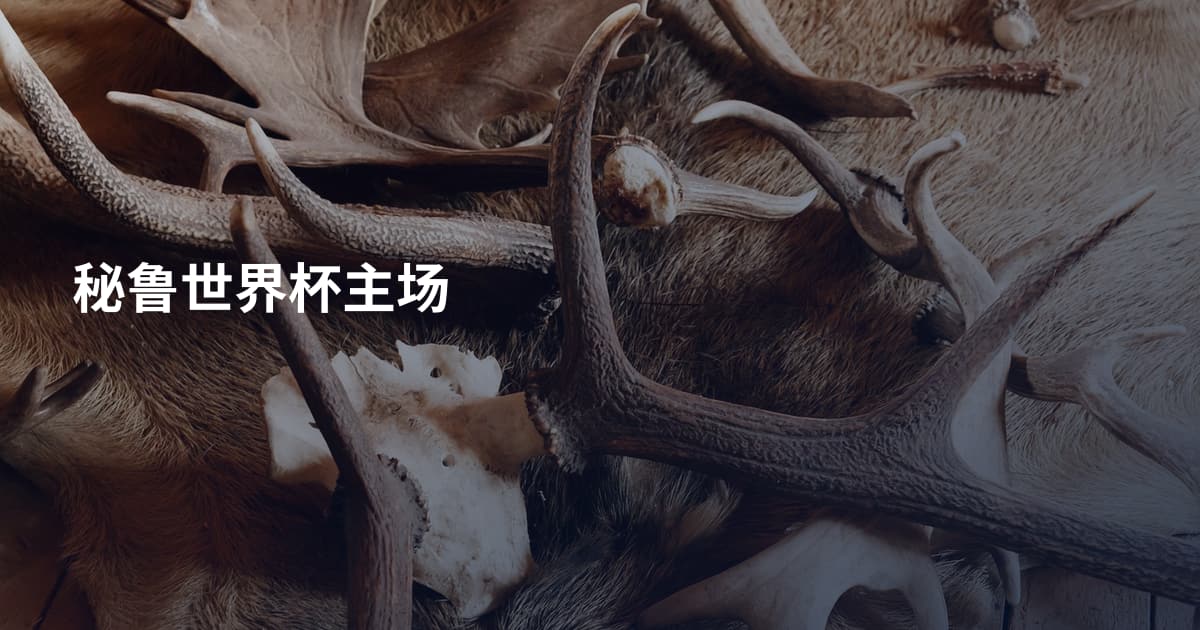 秘鲁世界杯主场